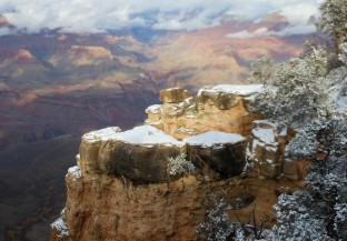 Canyon Discovery