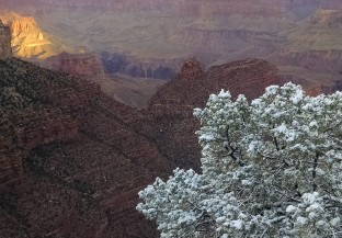 Canyon Discovery Plus