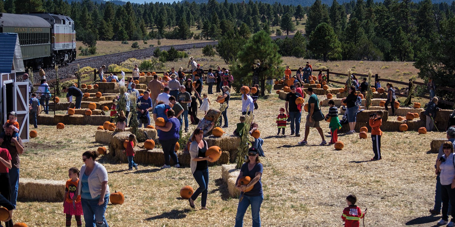 Verde canyon railroad discount coupons