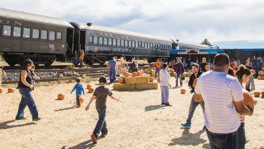 THE PERFECT PUMPKIN IS JUST A TRAIN RIDE AWAY