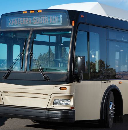 Great Grand Canyon Tours