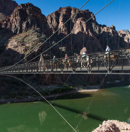 How the Waste Was Won