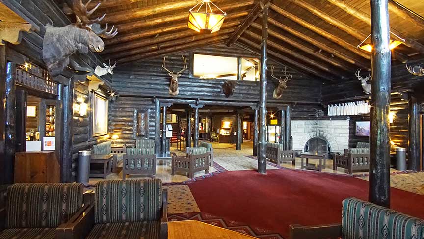 Road Trip: Phoenix to the Grand Canyon 23