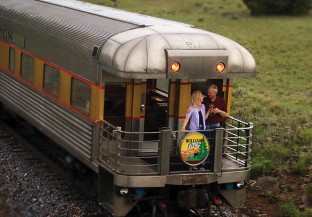 The Train