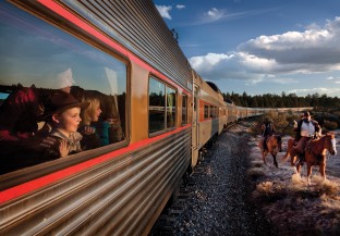 Book Train Only