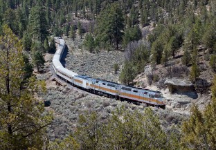 The Train