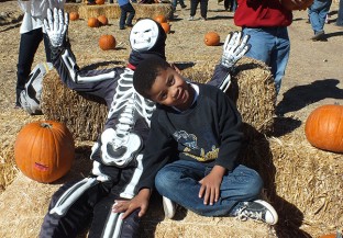 The Pumpkin Patch Train